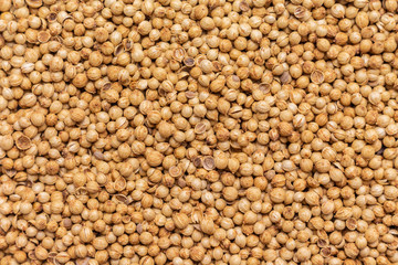 heap coriander seeds top view.