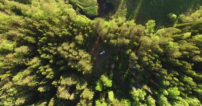 4K aerial bright summer day high quality video footage of lush bright green panoramic woods and pristine forest river in rural countryside in Yaroslavl region of Russia
