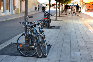 Parked bicycles on the street near a tree in the city