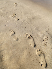 Traces of man on the sand in the tropics.