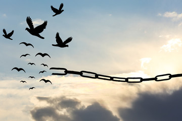 Freedom concept. Silhouettes of broken chain and birds flying in blue sky