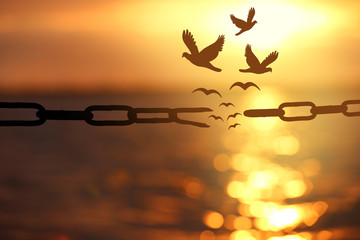 Freedom concept. Silhouettes of broken chain and birds flying over sea at sunset
