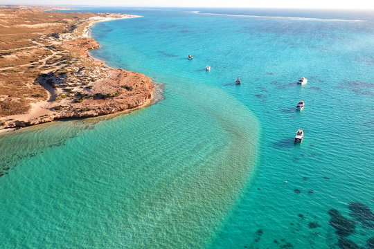Coral bay destination in Western Australia