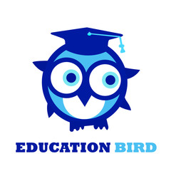 owl teacher with a book