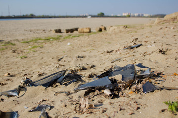 ecological concept of ecology, garbage in the forest, glass fragments lying in the ground and grass