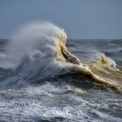 Amzing image of individual wave breaking and cresting during violent windy storm with superb wave...