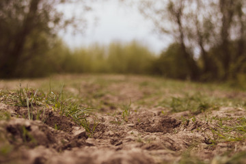 Dry land, future of soil erosion on Earth, cracked soil due to climate change, global desertification