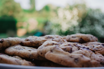 chocolate chip cookies on a plate