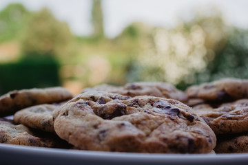 chocolate chip cookies