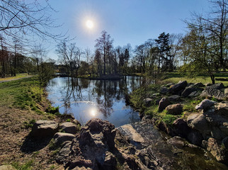 Staw w parku miejskim © michalsen