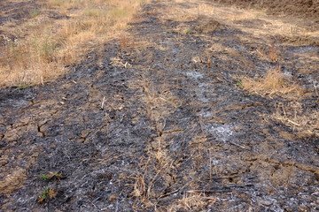 Crack earth and dry soil with burned of grass on grounds. Environmental and protection concept.