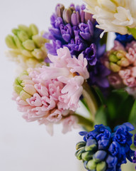 A close up of a flower