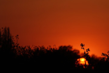 Orange beautiful sunset, red sky at nigh