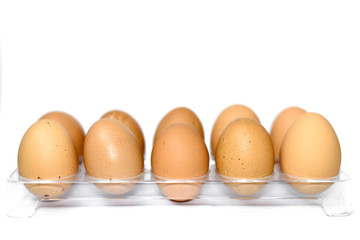 eggs on white background