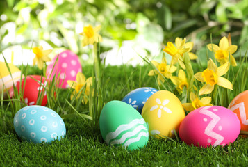 Fototapeta na wymiar Colorful Easter eggs and daffodil flowers in green grass