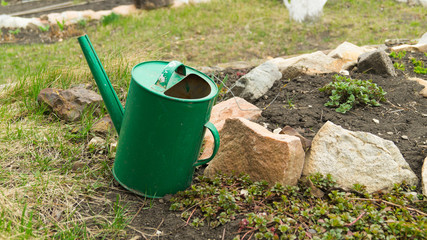 Green watering can in a garden