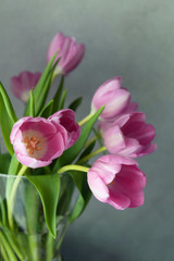 Bouquet of pink tulips in vase on gray wall background