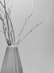 White branches in a white vase on a white background. Monochrome.