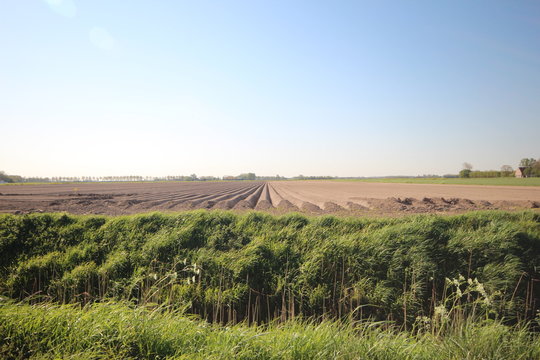 fields that have just been plowed in the Zuidplaspolder for sowing vegetables