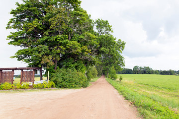 Country dirt road, near trees and field
