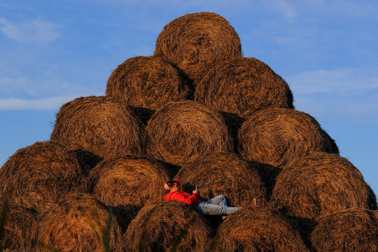 Haystacks in the field