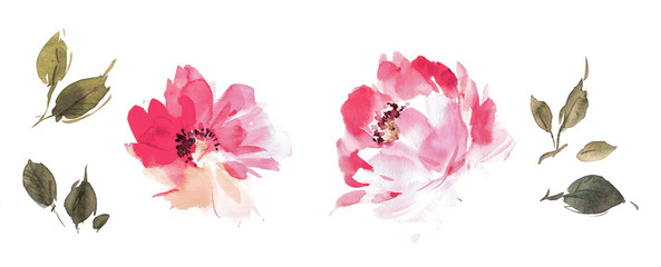 Flowers watercolor illustration.Manual composition.Big Set watercolor elements.