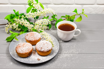 Composition with a cup of tea, cupcakes and white cherry flowers on a wooden background.