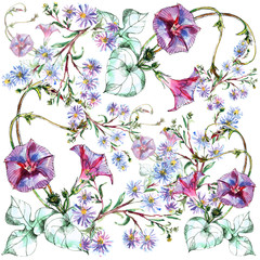 Bouquet of  flowers blue flowers and bindweed painting in watercolor. Floral illustration on white background.      