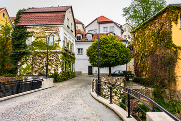 Fototapeta na wymiar Altstadt Kleinstadt mit Bäumen bewachsenes Haus 
