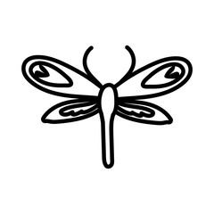 dragon fly insect line style icon