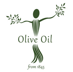 Olive oil logo, vector design - 342707536