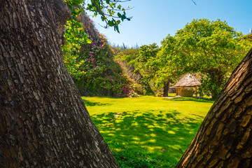 Old house in the forest. Green glade with blue sky