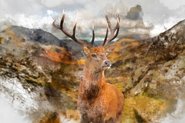 Digital watercolor painting of Majestic Autumn Fall landscape of red deer stag in front of mountain landscape in background