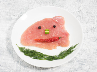 Sliced pieces of meat turkey game filet on white ceramic plate, allspice, fennel, red chili pepper, green onion on concrete background. Healthy eating concept