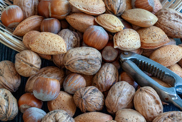 Mélange de fruits secs