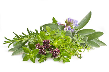 Mixed fresh herbs isolated on white  © paperkea