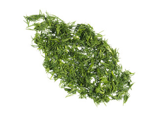 Stretched bunch of green dill isolated on white, macro