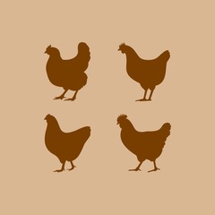 Chicken flat vector icon. Chicken vector silhouette
