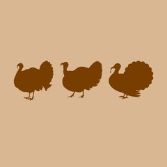 Turkey vector silhouette. Farm animal silhouette