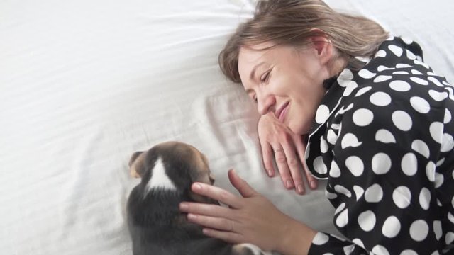 A beautiful woman lies in bed with a beagle puppy in the morning.