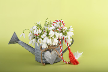 Spring time flowers like snowdrops, hyacinth and roses, isolated on yellow simple background, spring symbol and traditional romanian "Martisor", "1 martie" festive on 1st of march