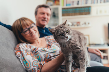 coppia di mezza et&agrave; con il gatto domestico 