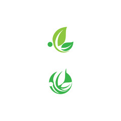 Leaf Logo Template vector symbol