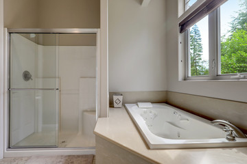 Simple bright bathroom interior with tub and walk in shower.