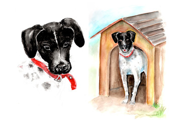 Aquarelle painting of dog sketch art illustration