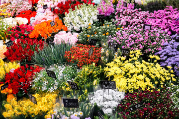 Closeup and crop lots of beautiful and various flowers with Japanese names and labels price at Kuromon market.