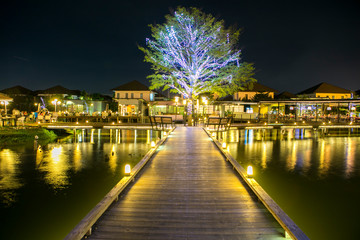 the outdoor wood pathway on a pond to light decoration big tree