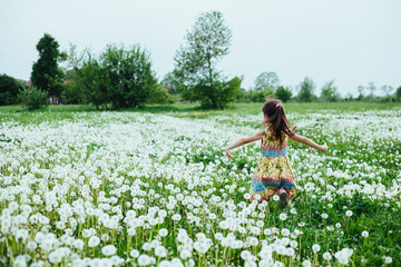 little girl runing in the field with dandelions. springtime