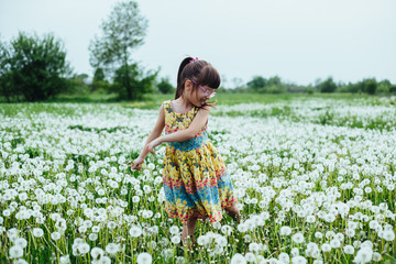 little girl playing with dandelions in the field. springtime