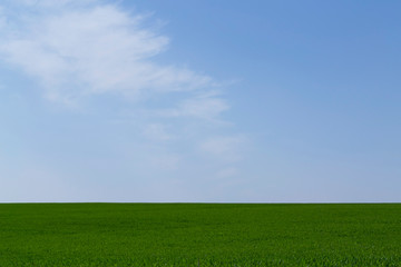 field on a background of the blue sky
